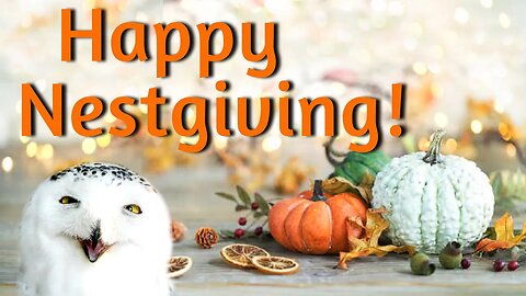 Happy Nestgiving!