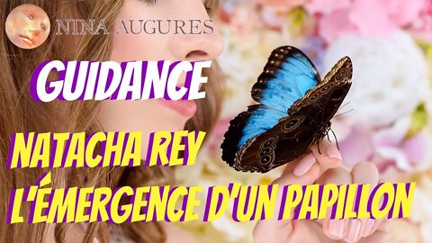 Natacha Rey, 🙌l'émergence d'un papillon 🦋 23/04/2022