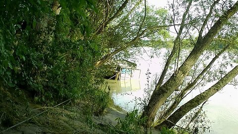 Sunken Houseboat, 15.06.2024 [C] Donauinsel