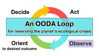 An OODA Loop for Reversing the Planet's Ecological Crises