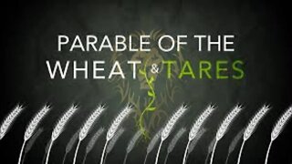 Parable of The Wheat and The Tares