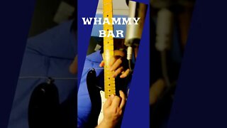 Whammy Bar On Electric Guitar | Hammers and Pull Offs #Shorts