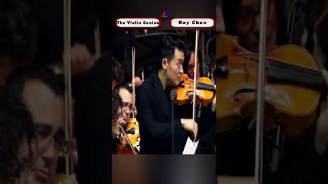 The Violin Genius8
