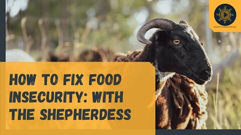 How to Fix Food Insecurity: with The Shepherdess
