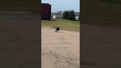 Trying out different longboard techniques