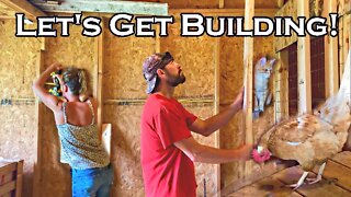 Building our NEW Chicken Coop | Who's Hungry?