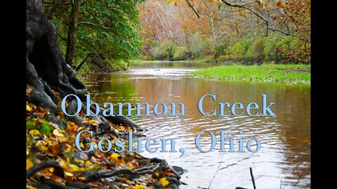 Obannon Creek Fishing - Goshen, Ohio (dozens caught!)