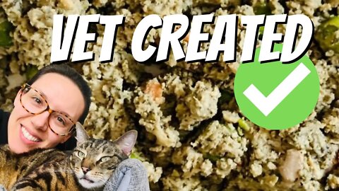 Easy cooked cat food recipes created by vets