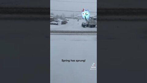 Springtime in Wyoming!￼