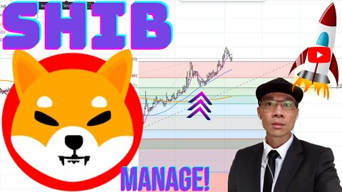 SHIBA INU ($SHIB) - Did You Buy More? Now Manage Your Trade! 🚀🚀