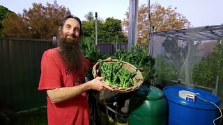 Aquaponics & New Supporter Platform Update