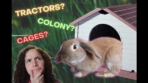 What Are the HOUSING OPTIONS for Rabbits? ║ How to Raise MEAT RABBITS (Part 2/8)