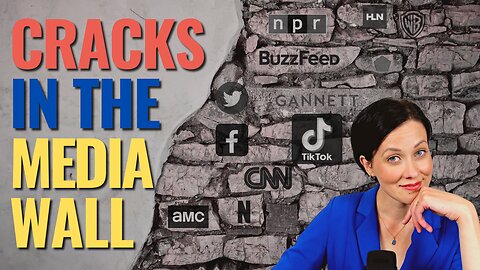 Cracks in the Big Gov and Big Tech Media Wall