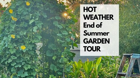 End of Summer GARDEN TOUR: Did my garden SURVIVE the HOTTEST SUMMER EVER?