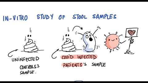 Yes GUT Microbiome Is Disrupted by SARS-COV-2 - Italian Study (Dr. Carlo Brogna)