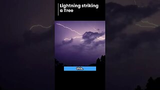 Lightning Striking a Tree