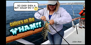 (45) 06/28/2018 - Eliza catching a Calico Bass the easy way :) New Seaforth!