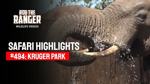 Safari Highlights #494: 25 - 27 April 2018 | Kruger National Park | Latest Wildlife Sightings