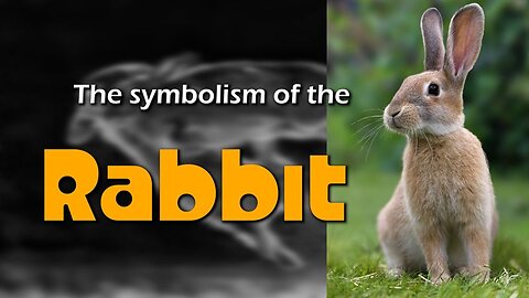 The Symbolism of the Rabbit