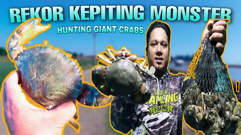 Hunting crabs