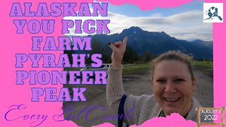 Alaskan You Pick Farmers Market In August | #everybitcountschallenge | getting things in the freezer