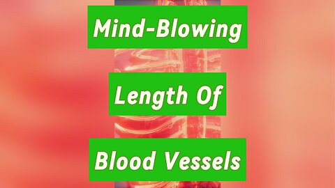 Mind Blowing Length Of Human Blood Vessels!