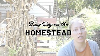 Busy Fall Day on the Homestead || Planting Garlic || Fall Decorations