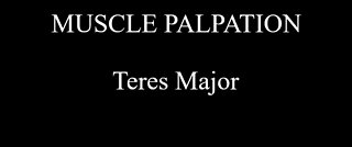 Muscle Palpation - Teres Major