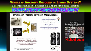 Michael Levin - 2022 excerpt - Biological Information beyond Genes: Bioelectricity Cell Intelligence