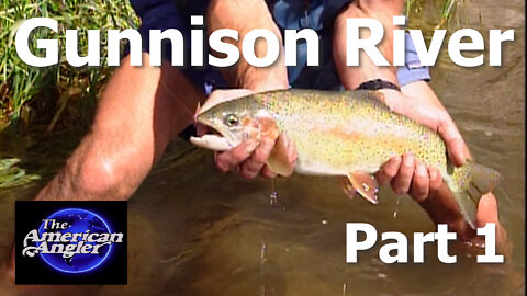 Fly fishing the Gunnison River Part 1