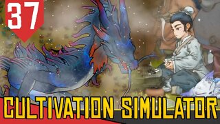 Batalha FINAL contra o DRAGÃO - Amazing Cultivation Simulator #37 [Gameplay PT-BR]