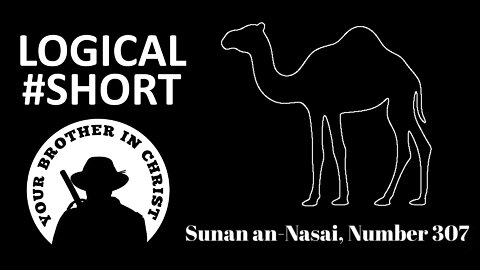 Did Mohammad Order People To Drink Camel Urine? - Sunan an-Nasai, Number 307