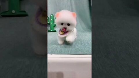 Baby Cute little Pappy funny Video, puppy funny Video shorts #r150shorts #youtubeshorts #ytshorts