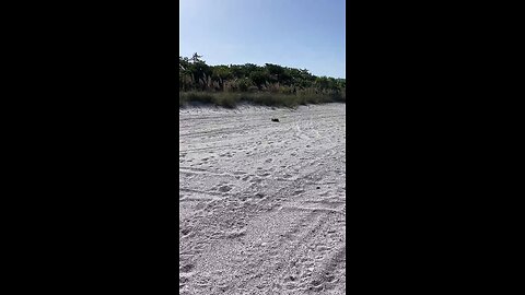 Livestream Clip - Barefoot Beach, FL Before Ian 8/26/2022 PT 1