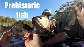 Fishing for River MONSTERS (Saratoga & Bass) Catch &