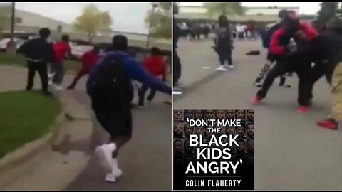 Colin Flaherty: St. Paul School Black Mob Violence 2015