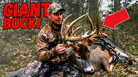 MONSTER BUCK with a BOW! (5 YARD SHOT!!!) | Iowa Rut Hunt