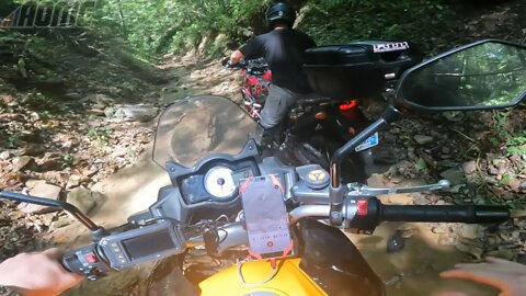 Creek Basin Crawling on the Adventure Pigs! (CRF1000L & KLE650)