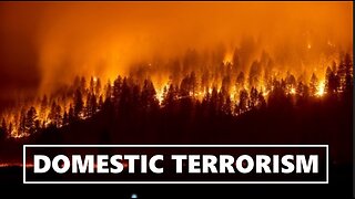 Intentionally Set Forest Fires Are Acts of Domestic Terrorism