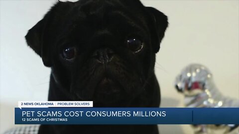 12 Scams of Christmas: Puppy scams