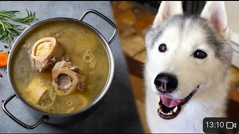 How To Make Bone Broth For Dogs 🦴 DIY Dog Treats