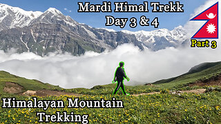 Beautiful Himalayan Hiking | Mardi Himal Trekk Day 3 & 4 🇳🇵 (part 3/3)