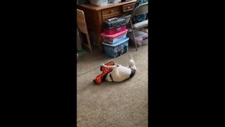 Princess plays with Giraffe Toy