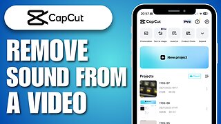 How To Remove Sound From A Video In CapCut
