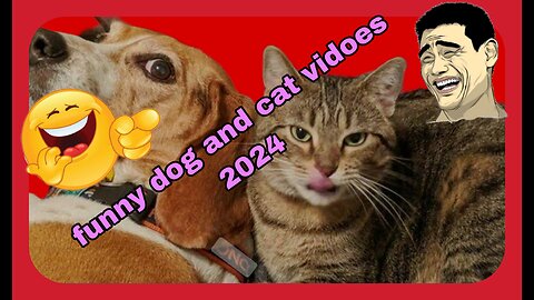 🤣🤣🤣🤣🤣Funny dog and cat videos 2024 _ best videos of 2024 🤣🤣🤣🤣