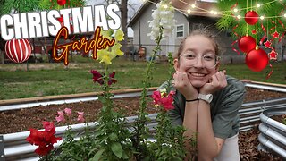 A Flower Garden Surprise: Am I Making Her Work Too Hard for Christmas Joy?