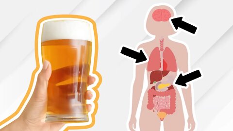 Everything Alcohol Does To Your Body