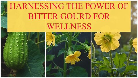 What Nutrients Make Bitter Gourd Beneficial for Health