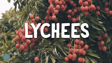 How to Grow ~ Lychee