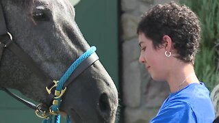 15-year-old girl from Chesterland diagnosed with cancer receives horse through Make-A-Wish